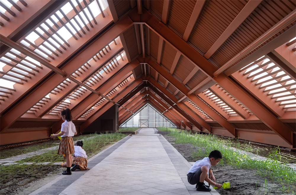 杭州滨江奥体试验小学